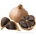 Fermented Black Garlic HALAL Certified Organic Fermented Black Garlic Manufactory